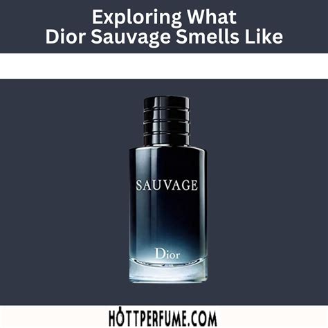 dior savage new|Dior Sauvage smells like.